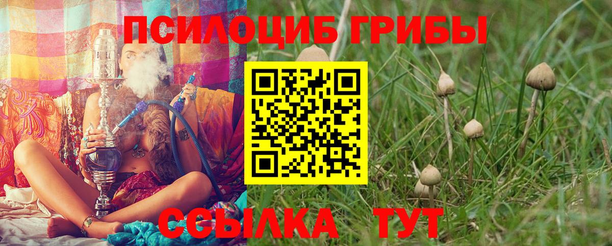 Всеволожск  Псилоцибиновые грибы Magic Shrooms  Галлюциногенные грибы GOLDEN TEACHER  где можно купить наркотик  Вход с VPN 